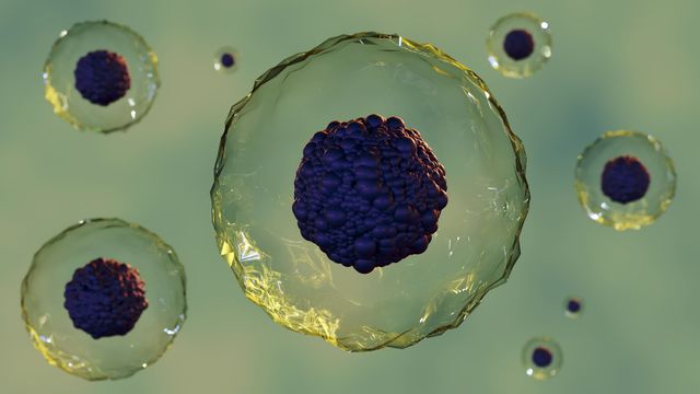 3D illustration of human cells with textured nuclei floating against a green background. 