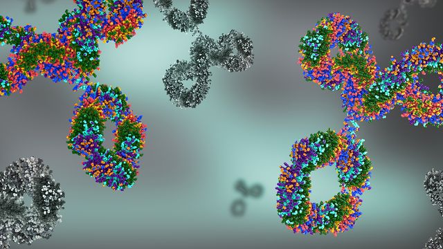 Colorful 3D molecular structures visualizing complex protein-protein interactions. 