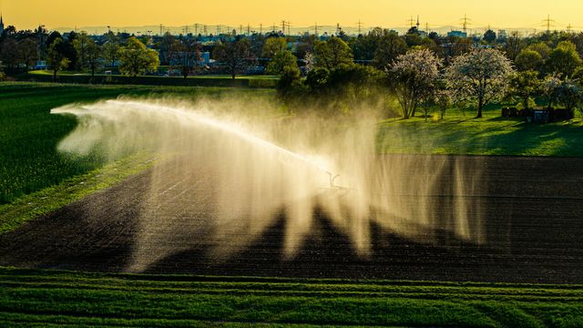 Two Widely-Cited Statistics on Irrigation and Food Security May Be Wrong – Technology Networks