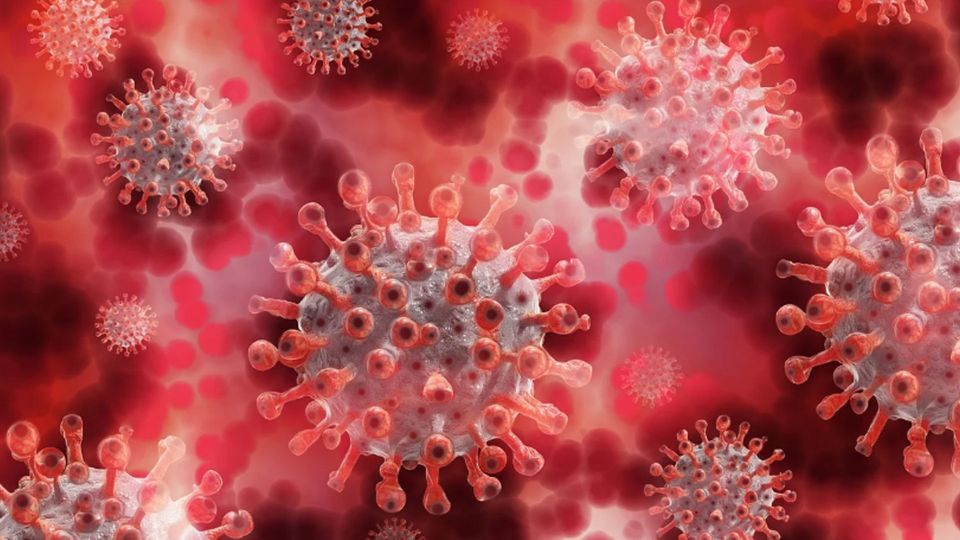 3D illustration of coronavirus particles with spike structures, representing viral replication and JNK activation in infected cells.