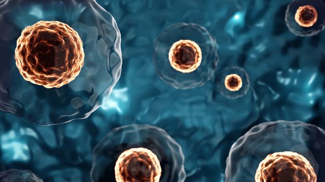 Illustration of human stem cells floating on a dark blue background. 