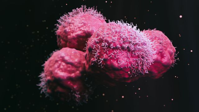 3D rendering of cancer cells with irregular surfaces and spiky projections on a dark background. 