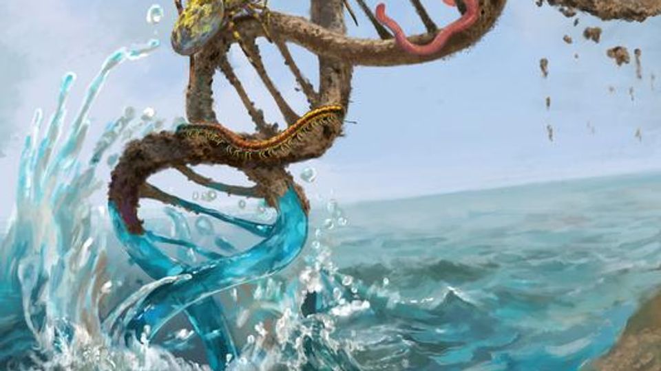 Animals Evolved Similar Genes To Live on Land | Technology Networks