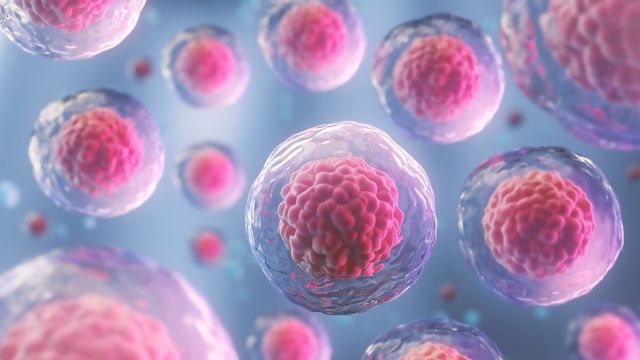 Illustration of pink and blue cells representing single-cell analysis. 