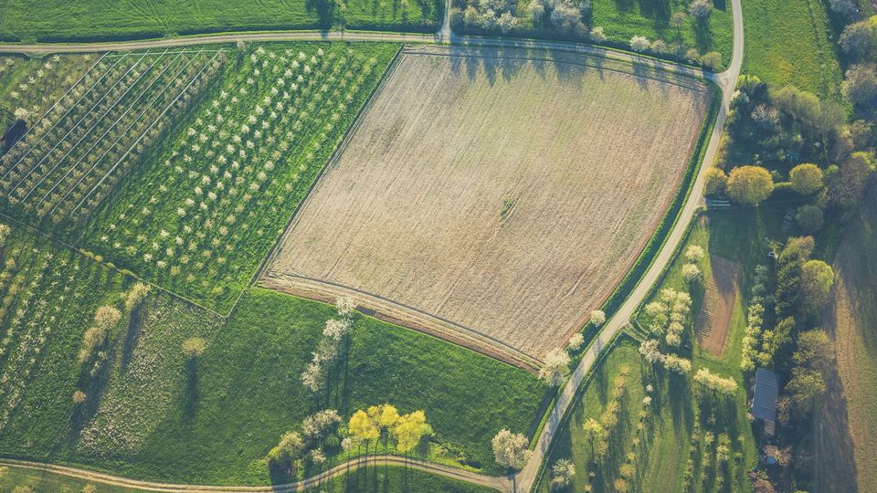 An aerial photo of farmland, with trees and pasture.