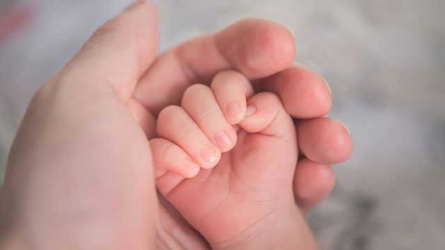 A baby's hand held in an adults. 