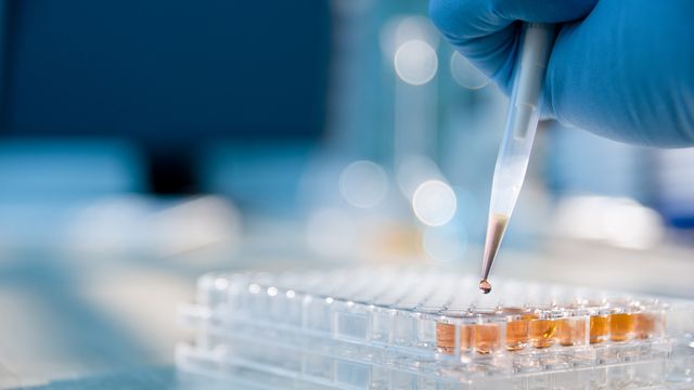 Close up view of a handheld pipette dispensing samples into a multi-well plate. 