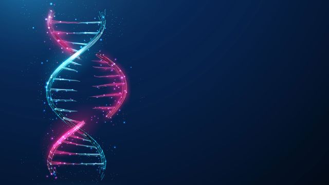 A strand of DNA with a section removed, illustrating gene editing. 