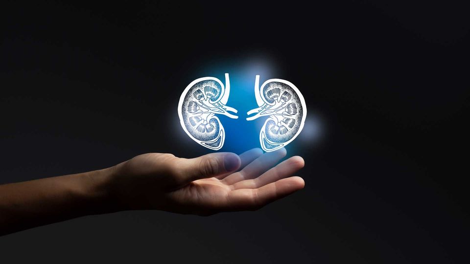 Human hand with palm facing up underneath a floating illustration of kidneys.