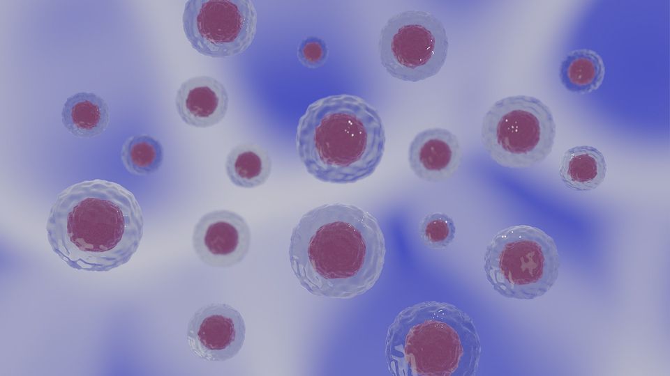 Illustration of human cells used to demonstrate a cell imaging technique for disease detection and gene activity analysis.
