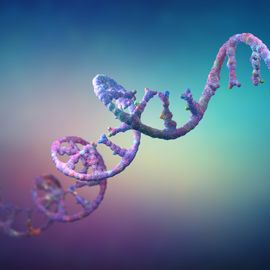 3D illustration of an RNA strand on a gradient background, representing RNA therapeutics research. 
