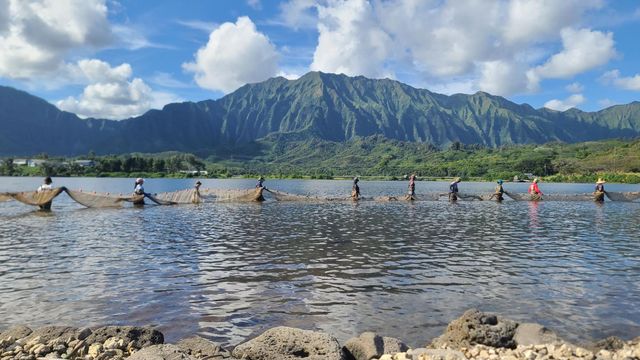 Traditional Hawaiian Fishponds Provide a Model for Climate Resilience