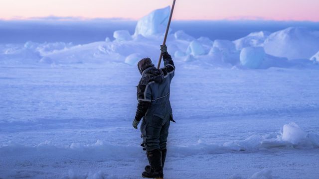 Ancient Arctic Genes Are Still Shaping Greenlanders’ Health Today