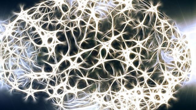 Star-shaped brain cells form the shape of a brain. 