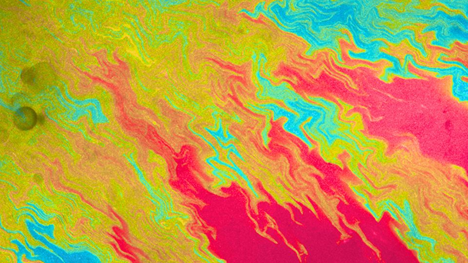 Red and blue colored plasmids form intricate patterns as they compete for dominance in a bacterial colony. 