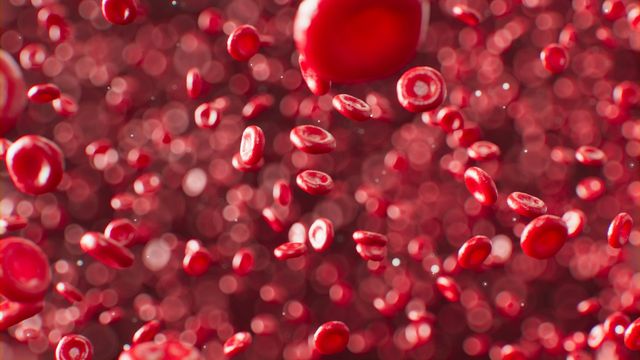 3D rendering of red blood cells flowing through blood vessels in a dense, dynamic stream. 