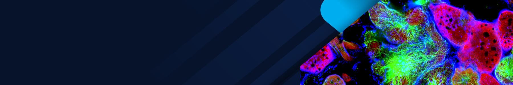 Symposium banner with triangular fluorescent microscopy of cells for single cell analysis. 