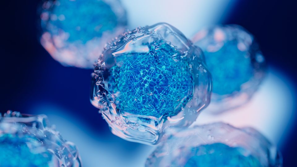 Illustration of a collection of human stem cells on a blue background.