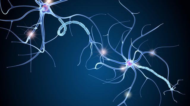 Two nerve cells with glowing synapses, against a dark background. 