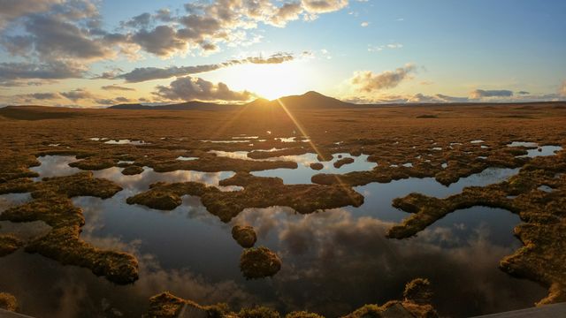 Peat as a Sustainable Precursor for Fuel Cell Catalyst Materials