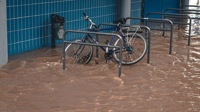 Fossil Fuel Burning Is Speeding Up Shifts in Europe’s Winter Rainfall