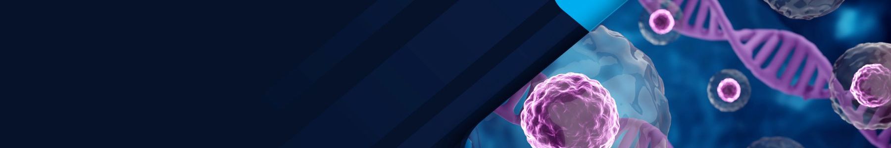 Organoids & Microphysiological Systems 