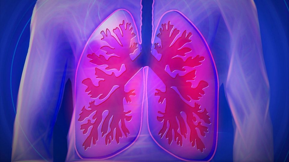 Stylized illustration of human lungs representing rapid point-of-care testing for latent tuberculosis in high-burden settings.