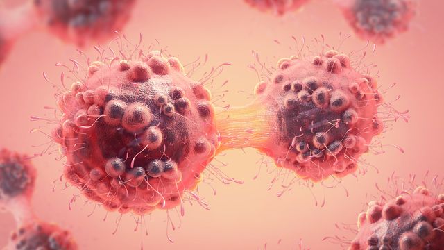 A 3D-rendered image of two cancer cells in the process of division. 