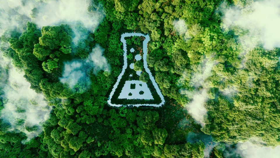 An aerial view of a forest canopy, with the outline of a conical flask in white digitally superimposed over the top.