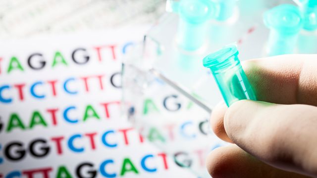 Sequencing for Survival: How Genomics Is Driving Climate Resilience