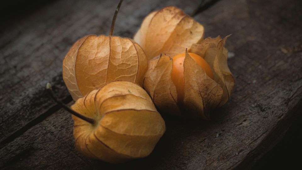 Four goldenberry fruits sitting on a wooden table surface.