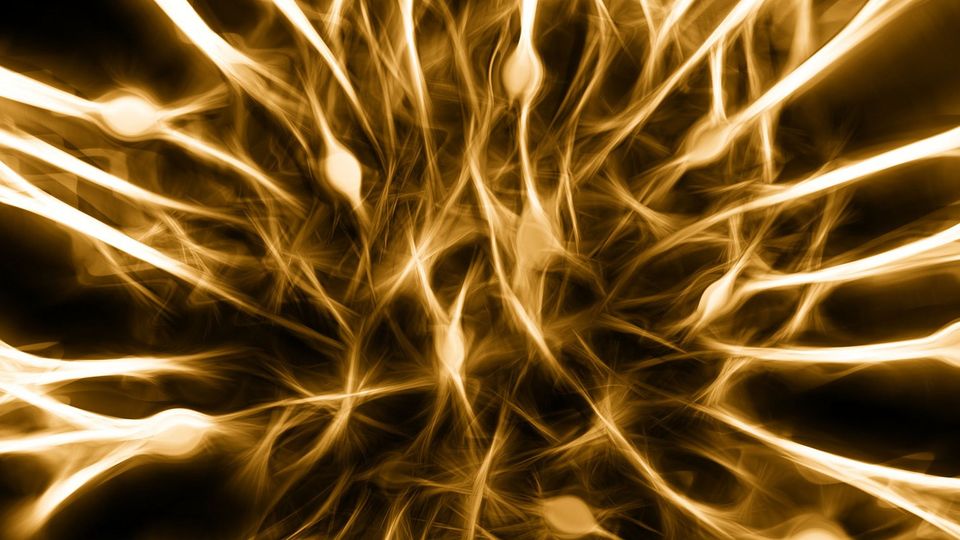 Gold brain cells, shaped like stars.