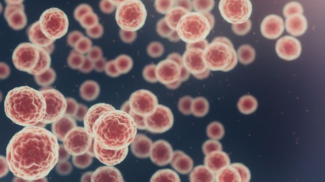 Microscopic view of clustered cancer cells with textured surfaces against a dark background. 