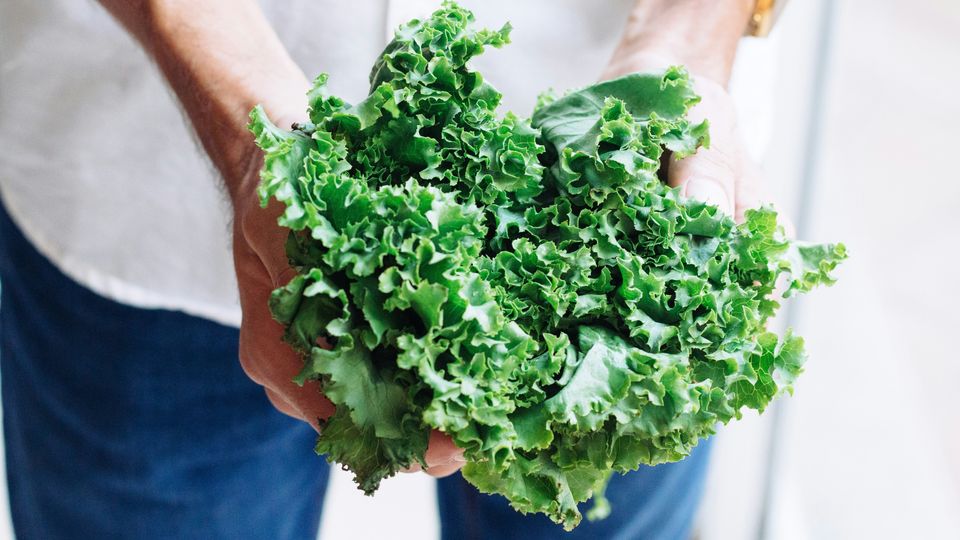 A person holding a large bunch of kale.