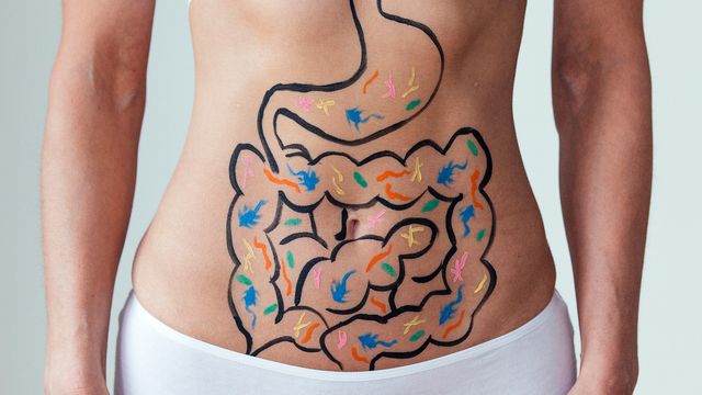 A person's stomach with an outline of the intestines and gut microbes drawn on top, representing the gut microbiome. 