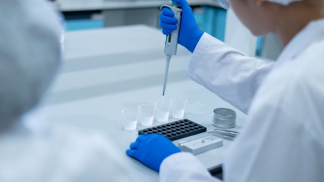 Scientists pipetting samples for protein purity analysis using native fluorescence detection 