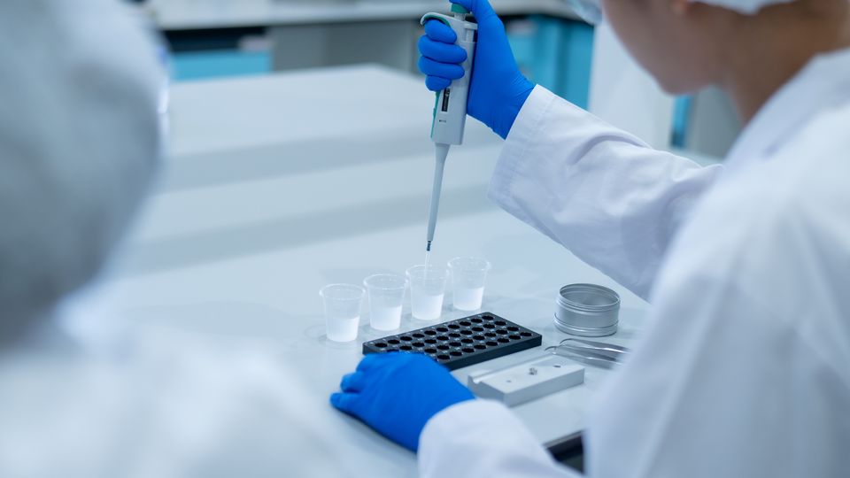 Scientists pipetting samples for protein purity analysis using native fluorescence detection