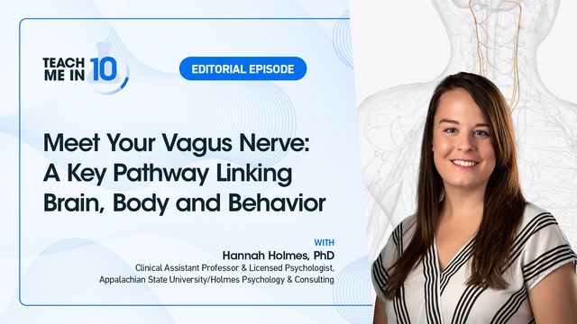 Meet Your Vagus Nerve: A Key Pathway Linking Brain, Body and Behavior
