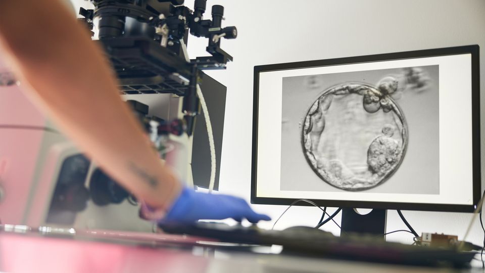 Scientist using a computer and microscope to analyze a high-resolution image of a single cell on a monitor, illustrating single-cell analysis.