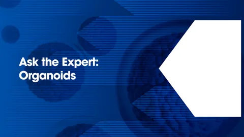 Blue graphic with 3D organoid structures and the text 