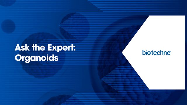 Blue graphic with 3D organoid structures and the text 'Ask the Expert: Organoids'. 