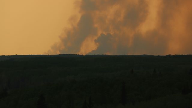 Large plumes of smoke rising from the other side of a tree-covered hillside, against an orange sky. 
