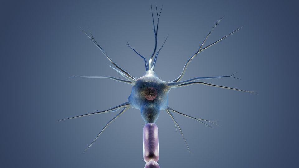 3D illustration of a bioluminescent brain cell with glowing neuron structure and synapse details.