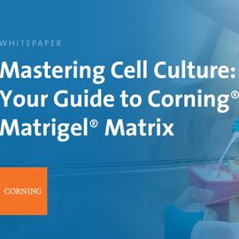 Corning whitepaper cover with scientist pipetting in biosafety cabinet and title Mastering Cell Culture: Matrigel Matrix 