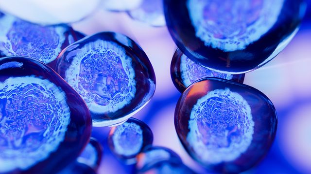 3D rendering of viral cells with detailed inner structures in a blue-toned microscopic environment. 