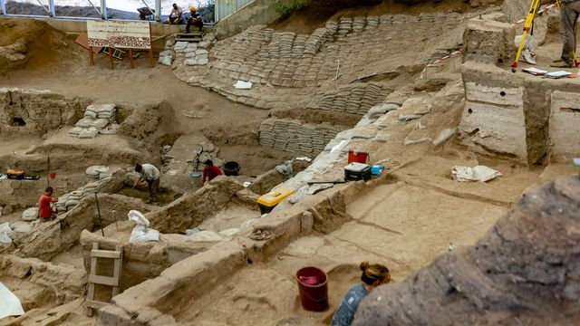 Ancient DNA Reveals Daily Life in a 3,500-Year-Old Italian Community