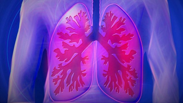 Illustration of human lungs. The lungs are red and the human body is pale pink, set against a dark blue background.  