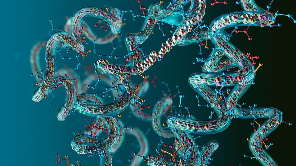 3D visualization of complex protein structures representing the diversity of the human proteome.