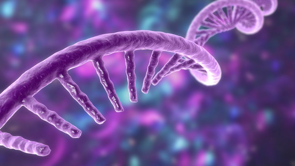 Close-up 3D illustration of a purple RNA strand on a blurred multicolored background.