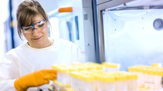Scientist handling antibody samples during cell line development for ST101 oncology program. 